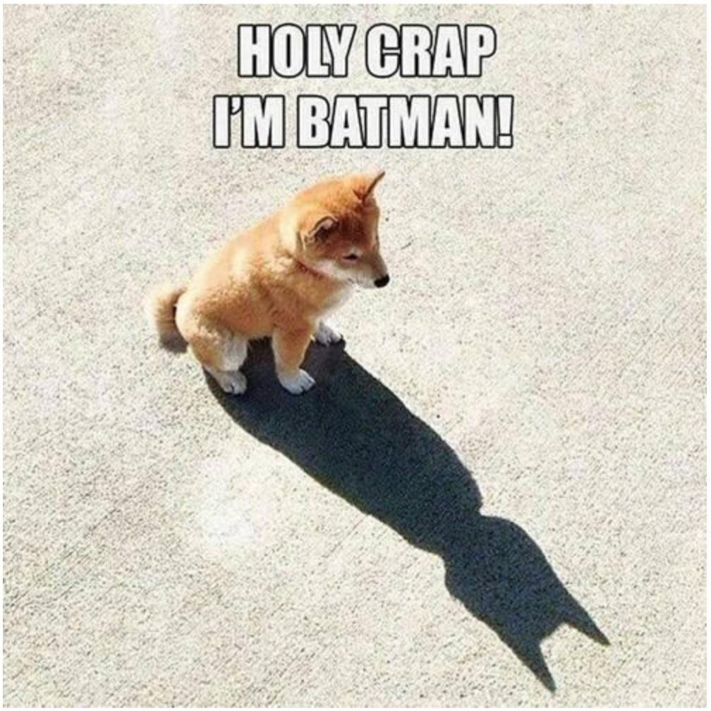 Meme of a puppy with a shadow that looks like the dark outline of Batman, with the text "Holy crap I'm Batman!" typed across the top.